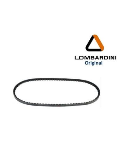 CORREA DE ALTERNADOR 10 X 617 MM.  ORIGINAL LDW502.