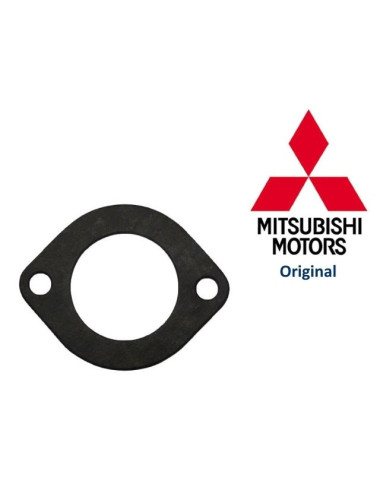 JUNTA TERMOSTATO MOTOR 