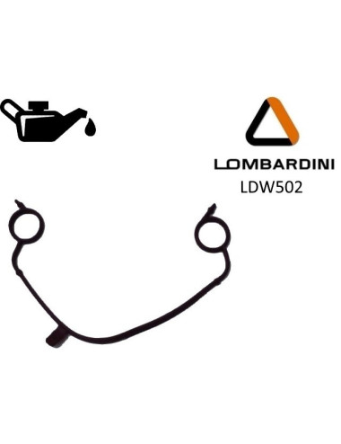JUEGO DE CARTER DE ACEITE LOMBARDINI FOCS / PROGRESS