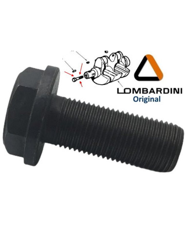 TORNILLO CIGUEÑAL DE DISTRIBUCION LOMBARDINI LDW502. ORIGINAL