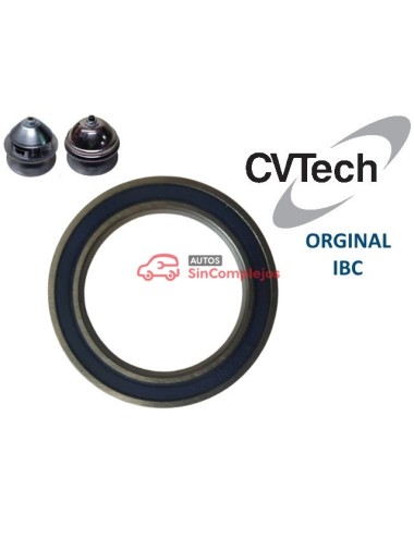 RODAMIENTO DE VARIADOR DE MOTOR IBC CV-TECH. ORIGINAL. 1002562