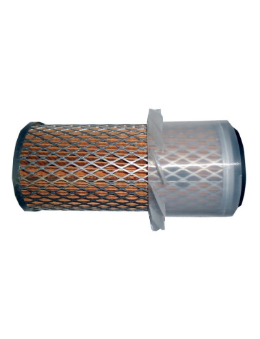 FILTRO AIRE MOTOR
