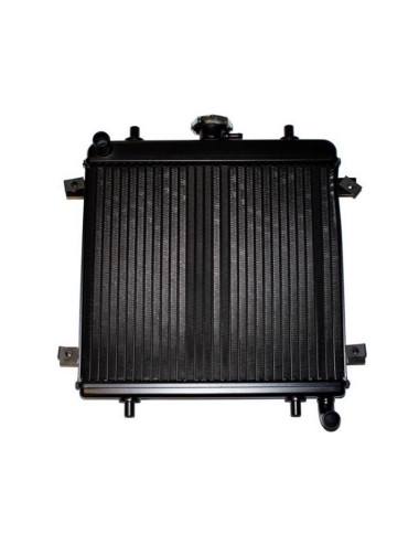 RADIADOR MOTOR  
