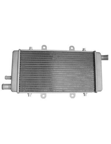 RADIADOR MOTOR  