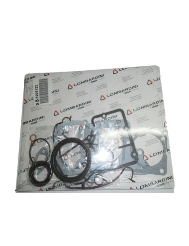 CONJUNTO DE PARTE BAJA MOTOR
