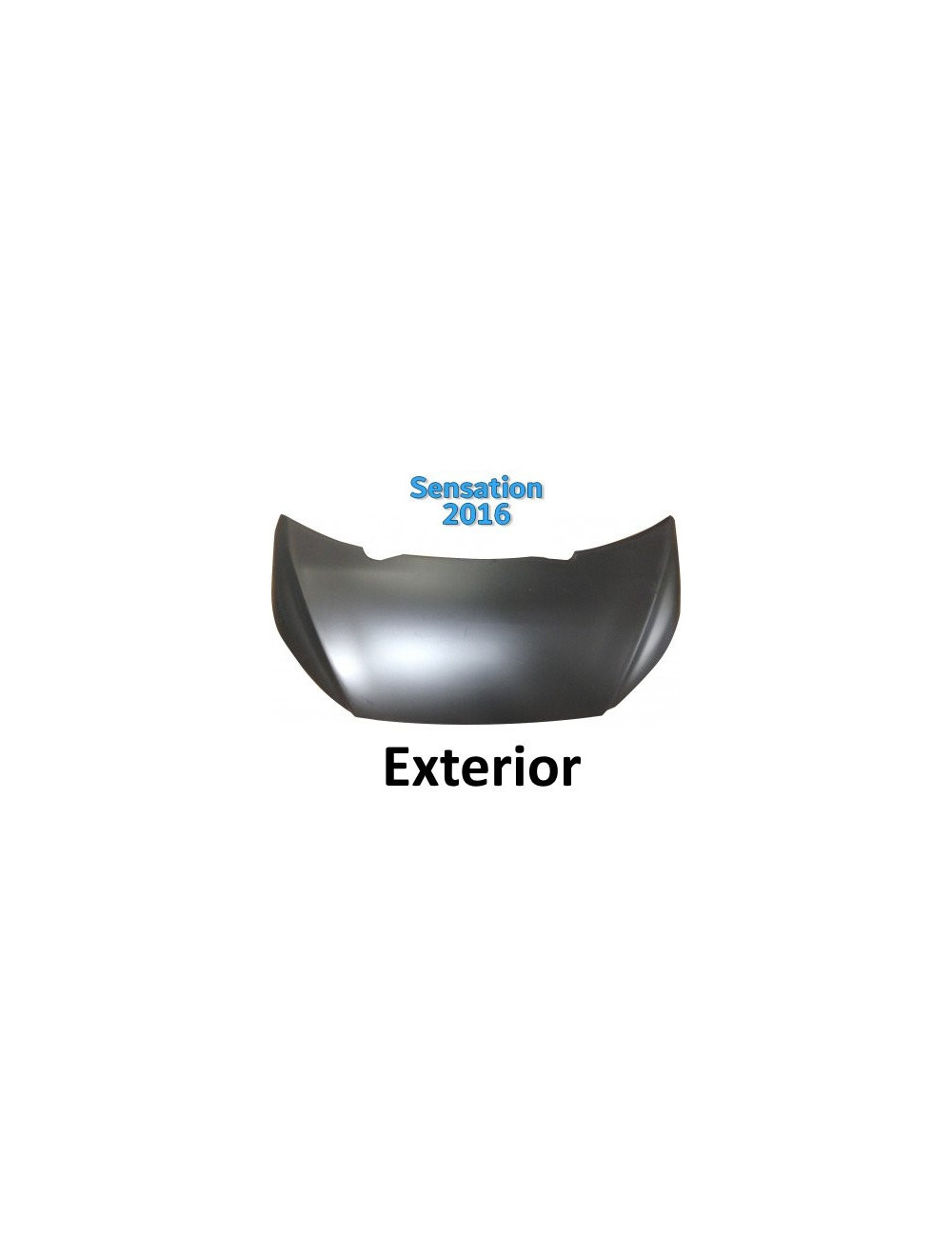 CAPO PARTE EXTERIOR DE ABS AIXAM 2016. 723BF031. CAPO PARTE EXTERIOR DE ABS AIXAM 2016. 723BF031.
