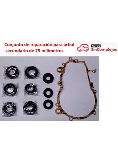 CONJUNTO DE REPARACION DE CAJA CAMBIO AIXAM