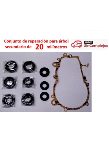 CONJUNTO DE REPARACION DE CAJA CAMBIO AIXAM