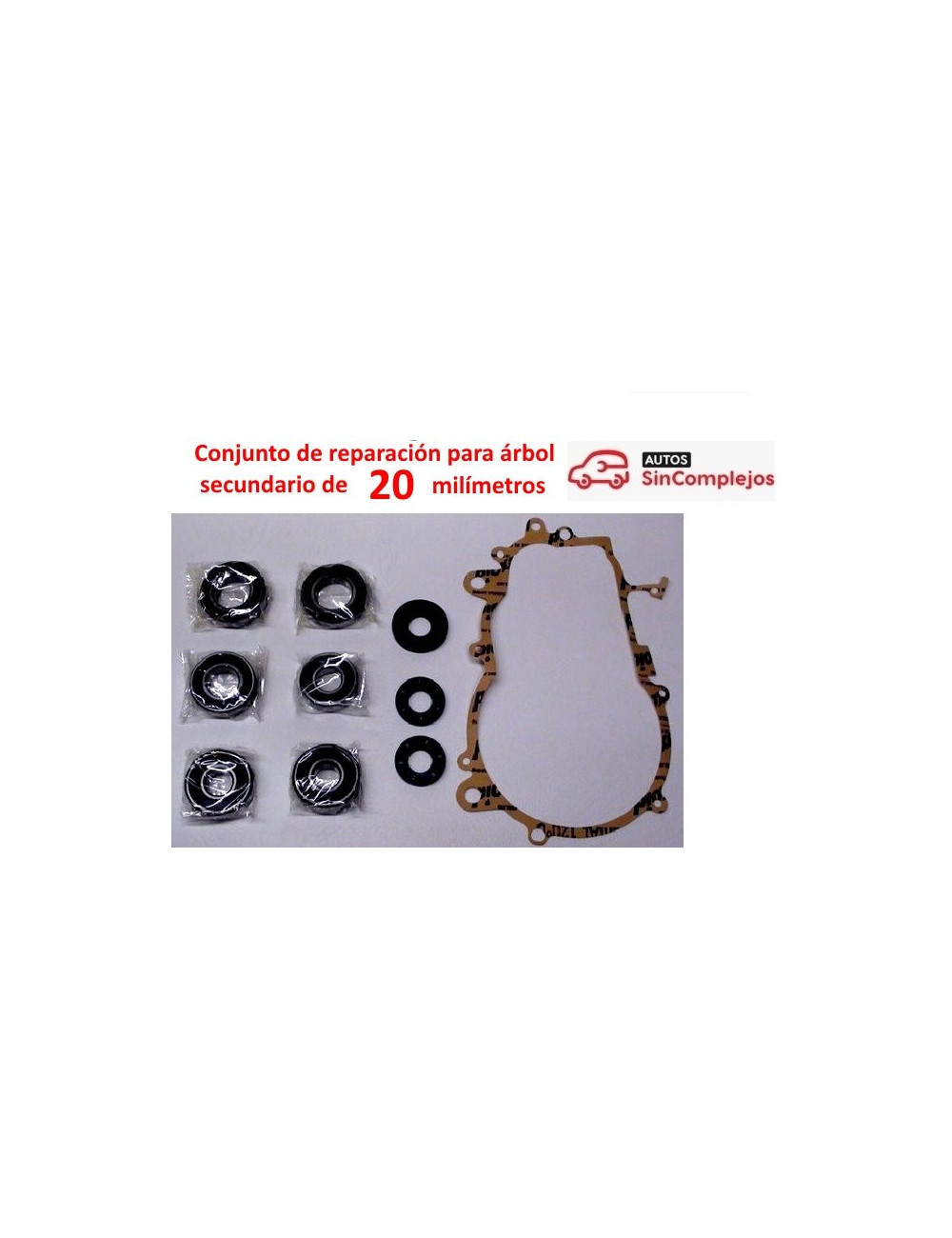 CONJUNTO DE REPARACION DE CAJA CAMBIO AIXAM CONJUNTO DE REPARACION DE CAJA CAMBIO AIXAM