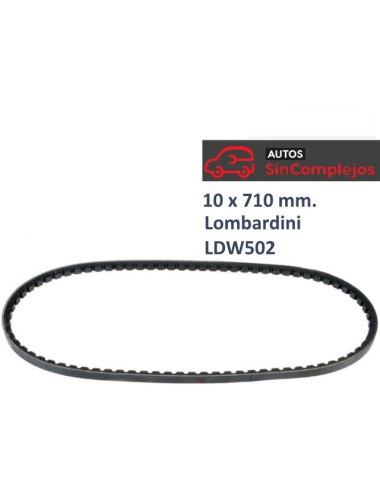 CORREA DE ALTERNADOR 10 x 710mm.